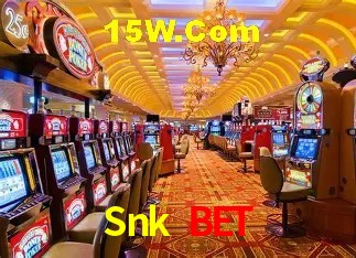 Jogos populares e pagamentos rápidos na Snk Bet