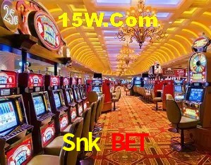 Interface moderna da plataforma Snk Bet