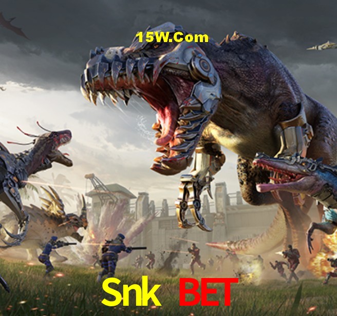 Programa VIP Snk Bet